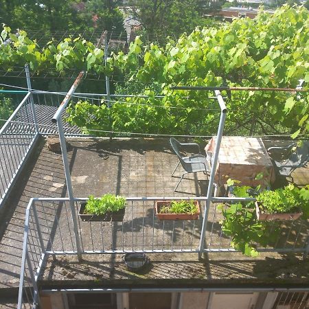 Apartmans Adi SJJ Esterno foto