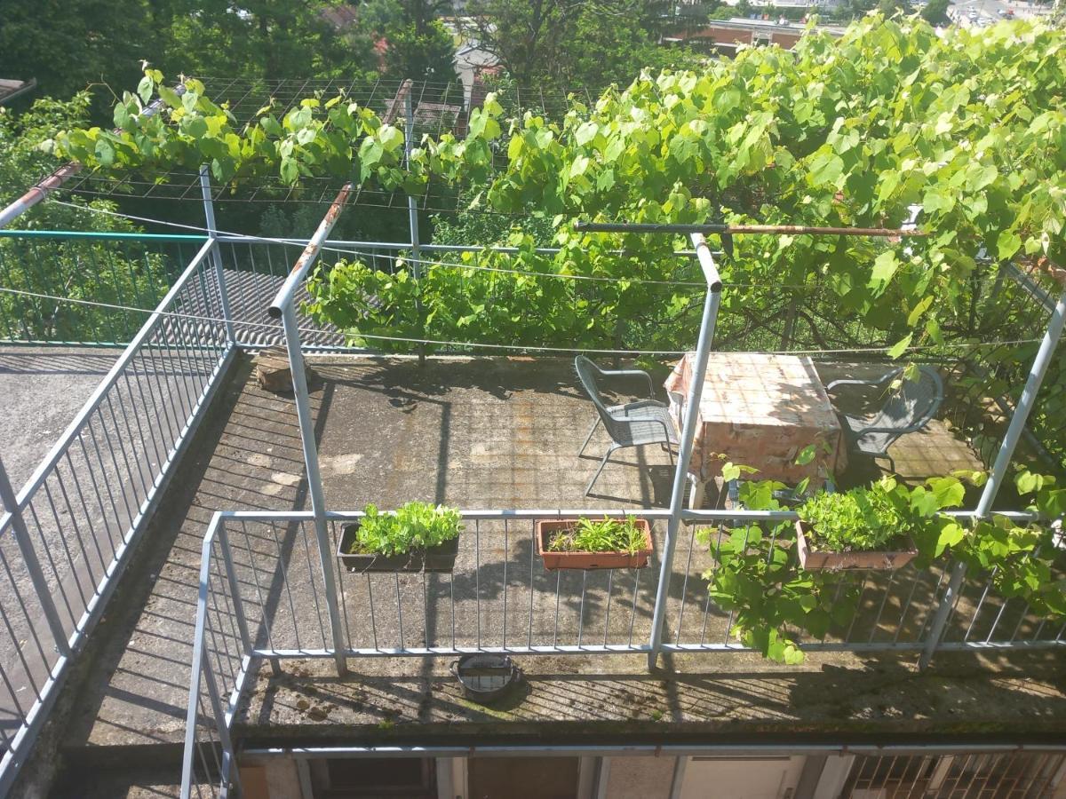 Apartmans Adi SJJ Esterno foto